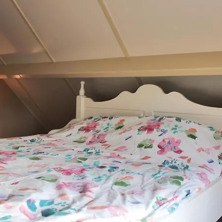 Holiday home Holiday Huize Maaszicht - 09 *