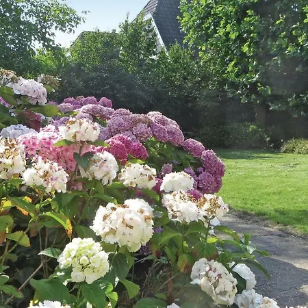 Holiday home Holiday Huize Maaszicht - 09 Aalst
